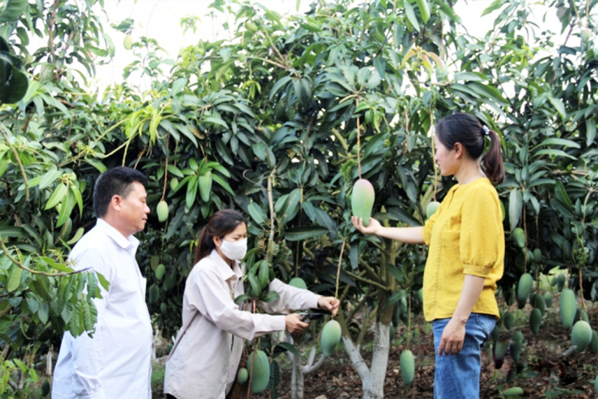 Nghị quyết của Đảng đi vào cuộc sống, góp phần thay đổi diện mạo bộ mặt nông thôn