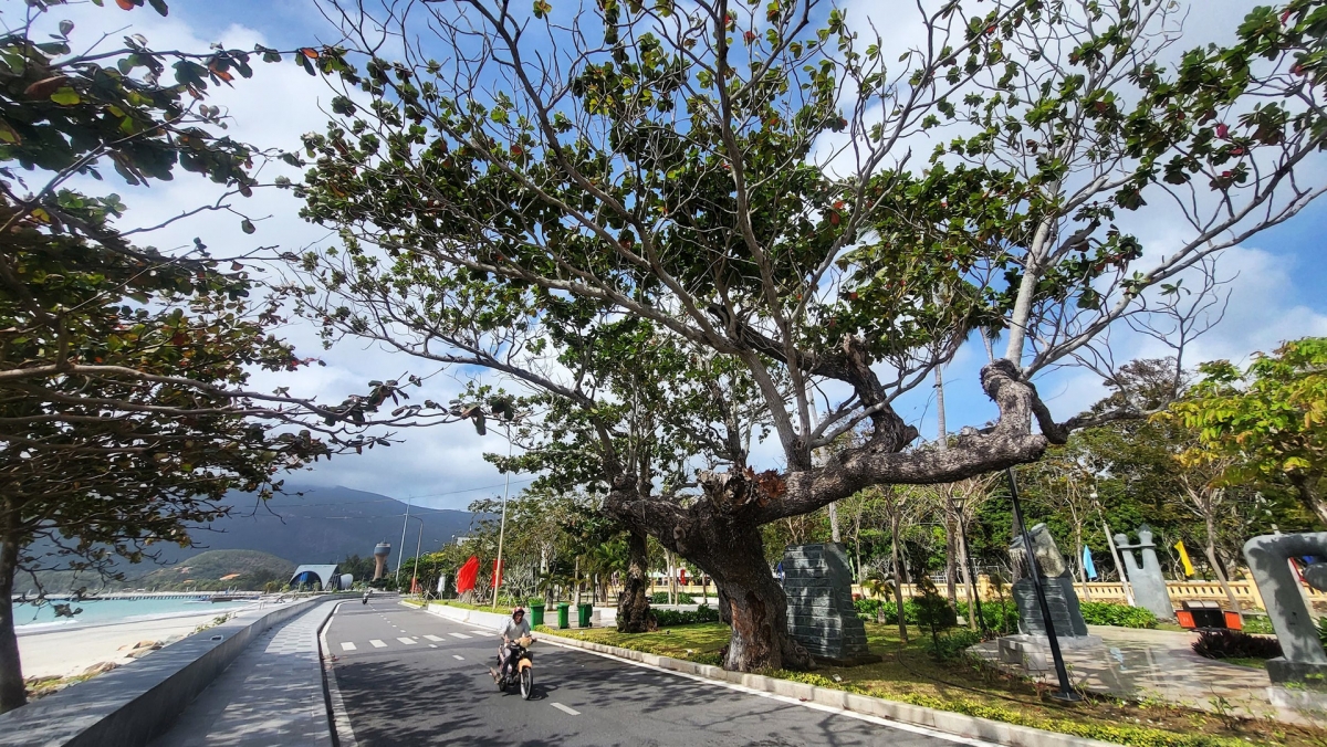 Những con đường vắng chờ du khách khám phá