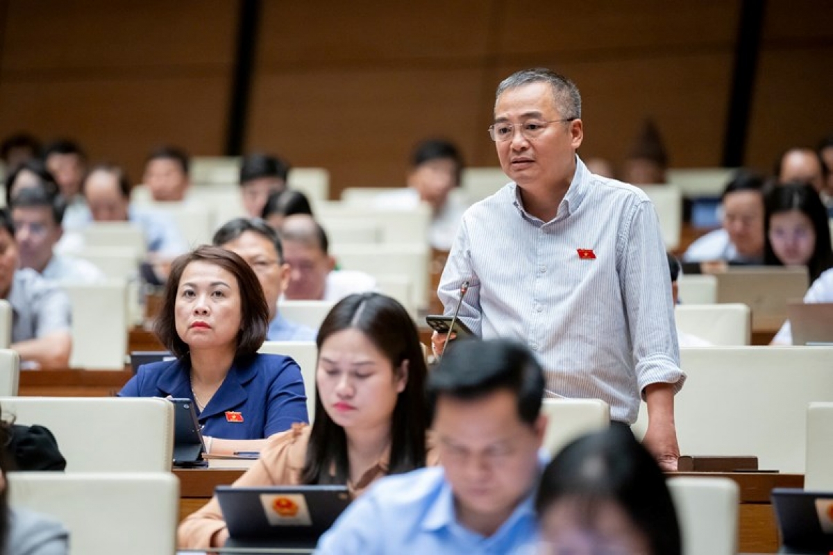 Đại biểu Nguyễn Lân Hiếu - Đoàn ĐBQH tỉnh Bình Định