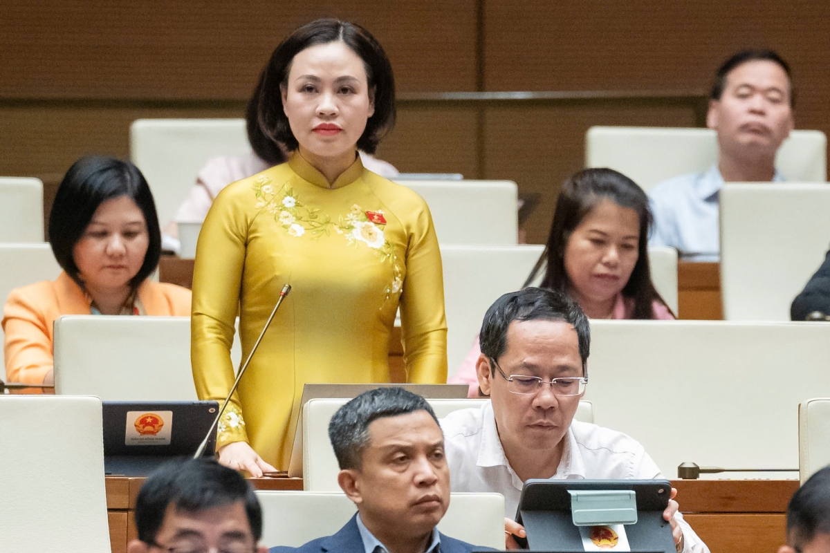 Đại biểu Trần Thị Hồng Thanh, Đoàn ĐBQH tỉnh Ninh Bình.