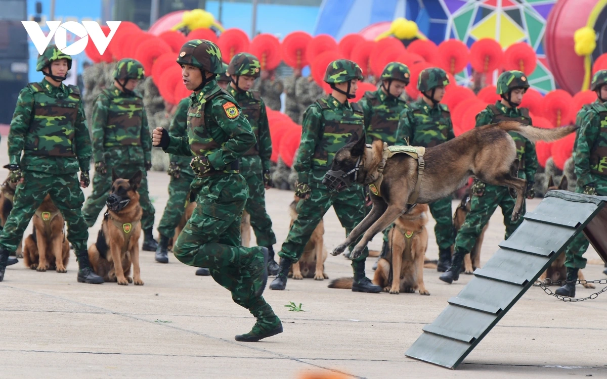 Quân khuyển biên phòng biểu diễn vượt chướng ngại vật, nhảy qua vòng lửa