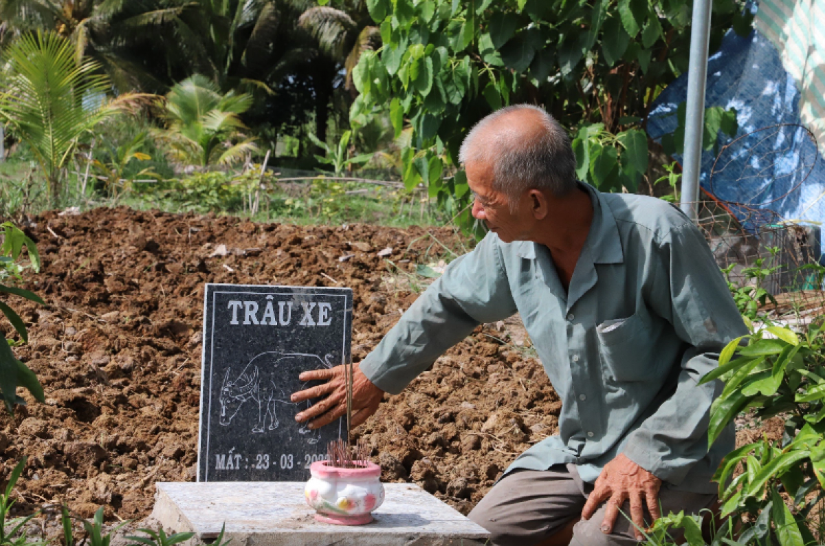 Mộ trâu Xe được ông Tám Pho lập với bia đá