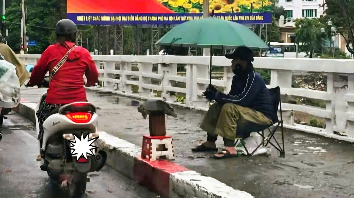 Hình ảnh mua bán rùa trên đường phố Hà Nội được người dân chụp đầu tháng 11/2025
