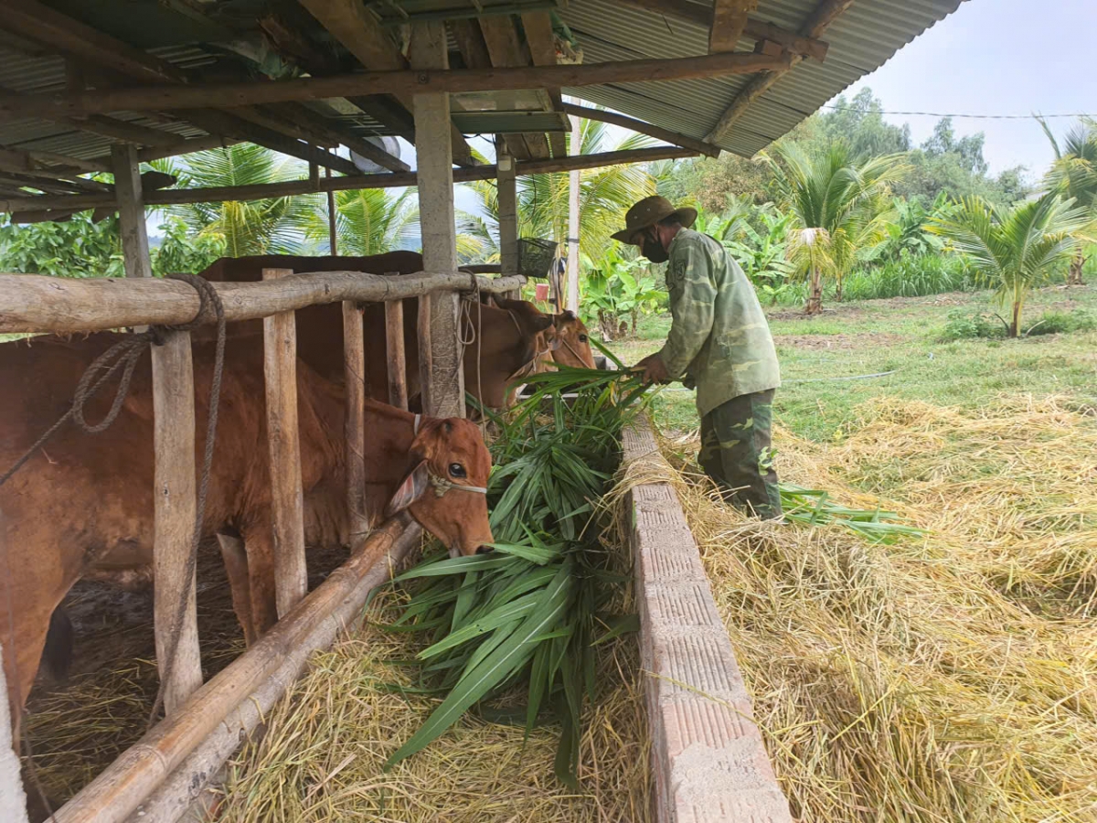 Bà con vùng biên giới Ia O chịu khó làm ăn từng bước ổn định cuộc sống