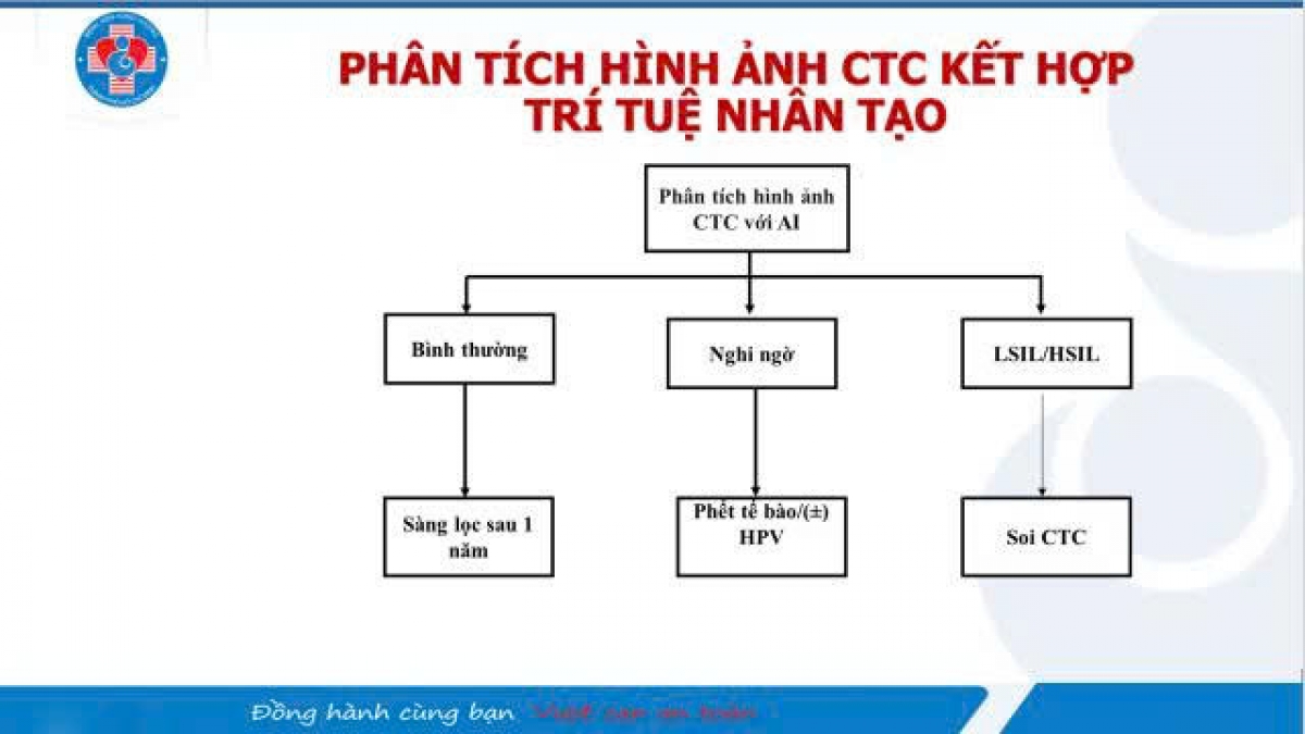 (Ảnh: BVCC)