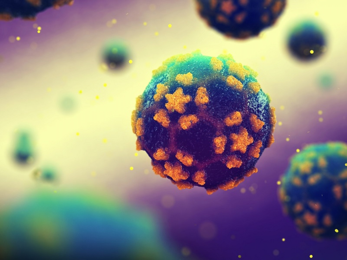 Virus Polio gây bệnh bại liệt ảnh hưởng tới sức khoẻ cộng đồng. Ảnh Internet