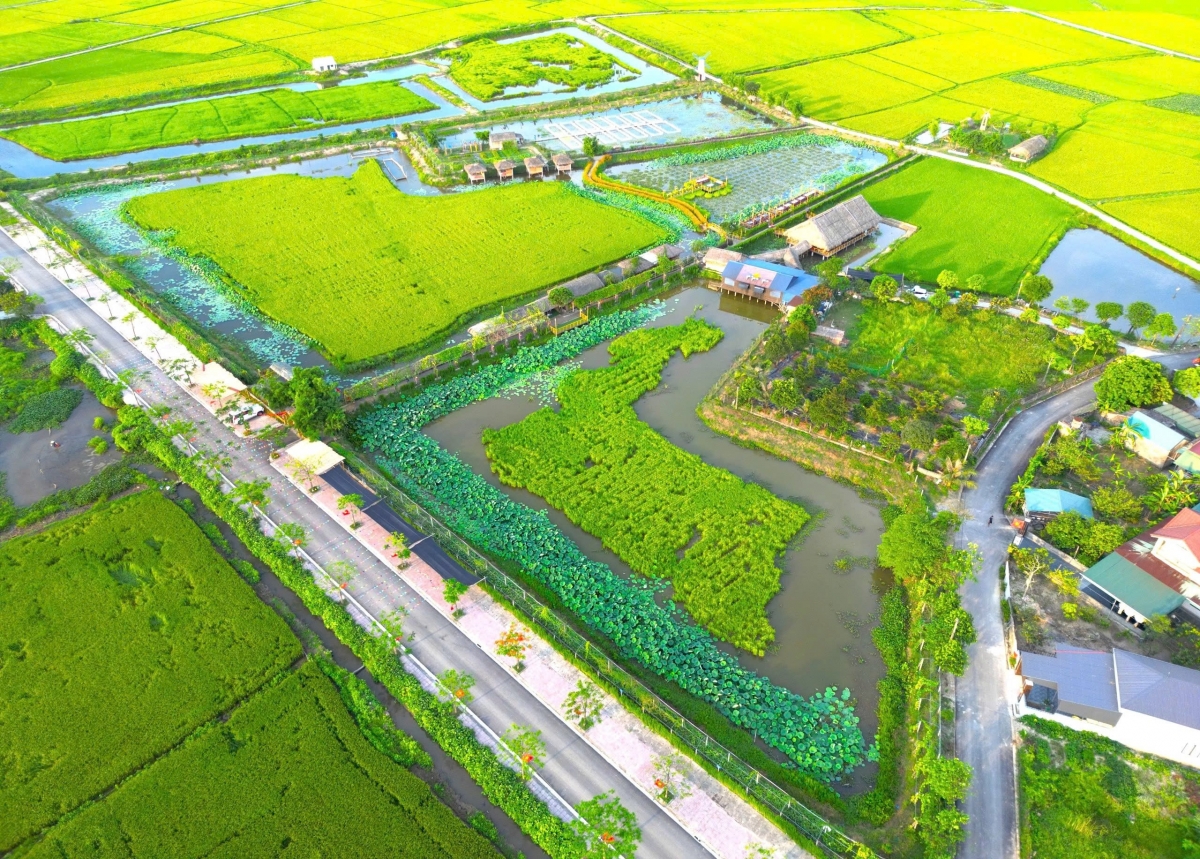 Hợp tác xã Nông nghiệp và Dịch vụ Tổng hợp Liên Nhật tại thôn Liên Nhật, phường Trần Phú, (tỉnh Hà Tĩnh) triển khai mô hình kinh tế nông nghiệp “3 trong 1” độc đáo và hiệu quả. (Ảnh: Nhân vật cung cấp)