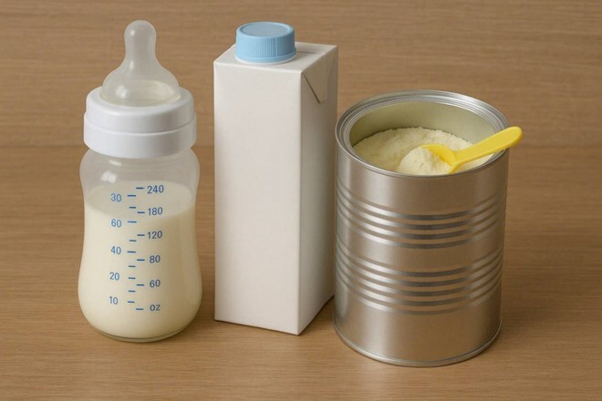 Vi khuẩn Bacillus cereus có thể xâm nhập vào sữa ở nhiều công đoạn (Ảnh: Internet)