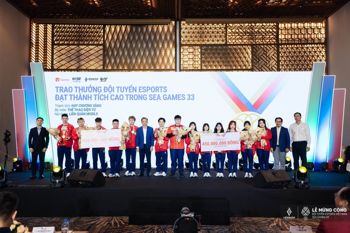 Thể thao điện tử (Esports) từng mang về HCV cho đoàn TTVN tại các kỳ SEA Games (ảnh: Garena)
